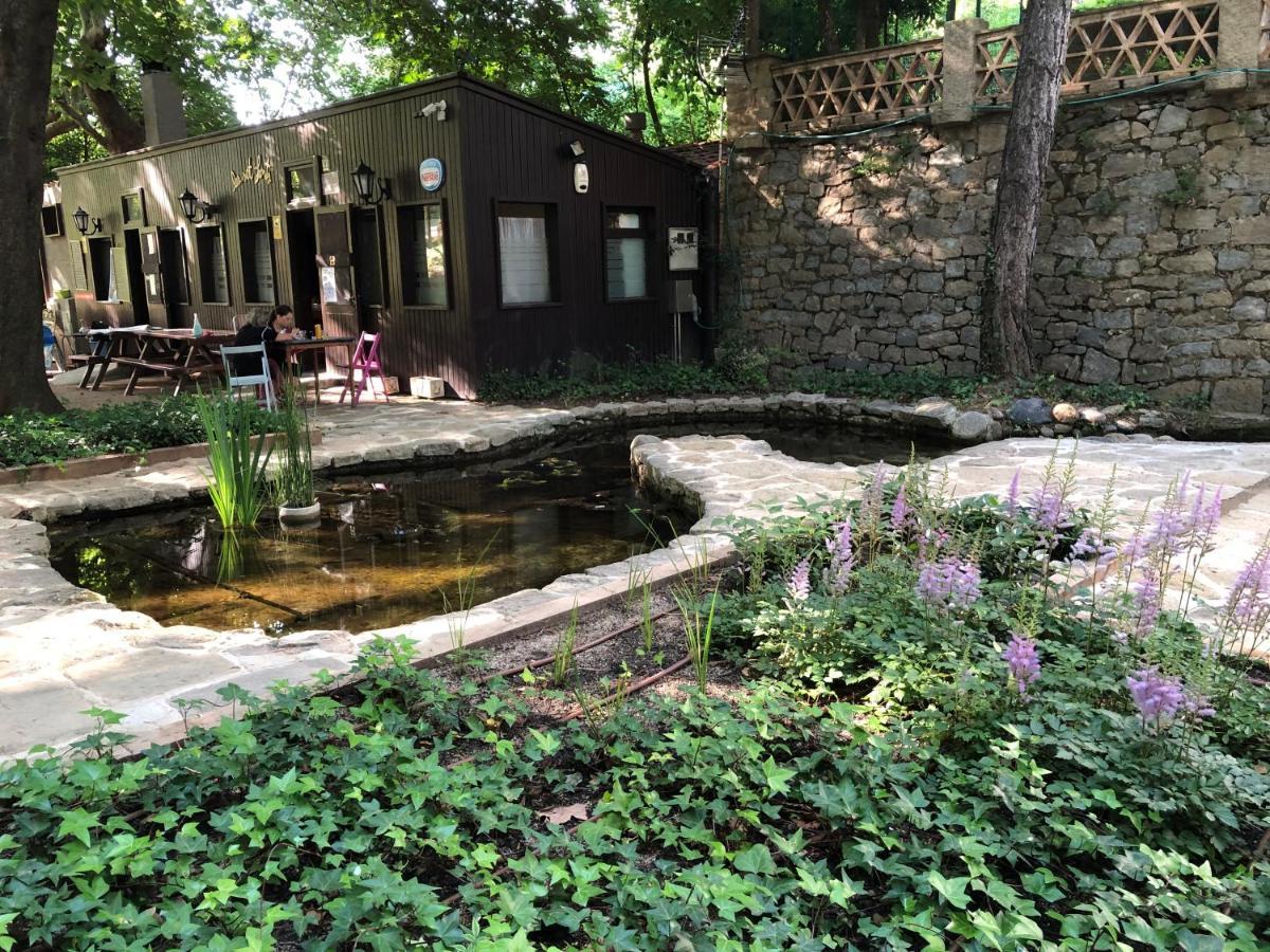 Escloper B&B Sant Julia de Vilatorta Экстерьер фото
